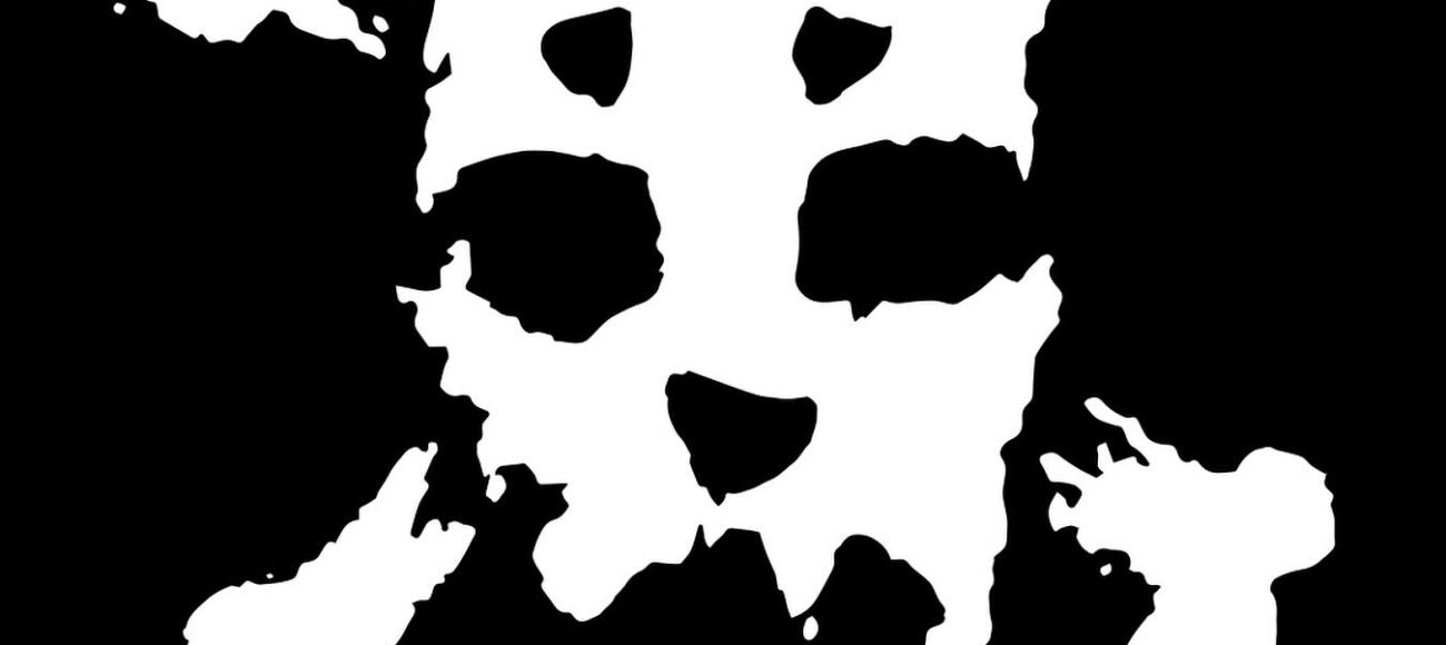 Slapshot, Boston hardcore legends, return for their final ever show in Greece!