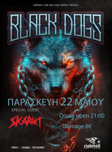 Black Dogs Live
