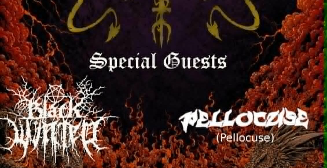 Golden Serpent w/ Black Winter and Pellocuse